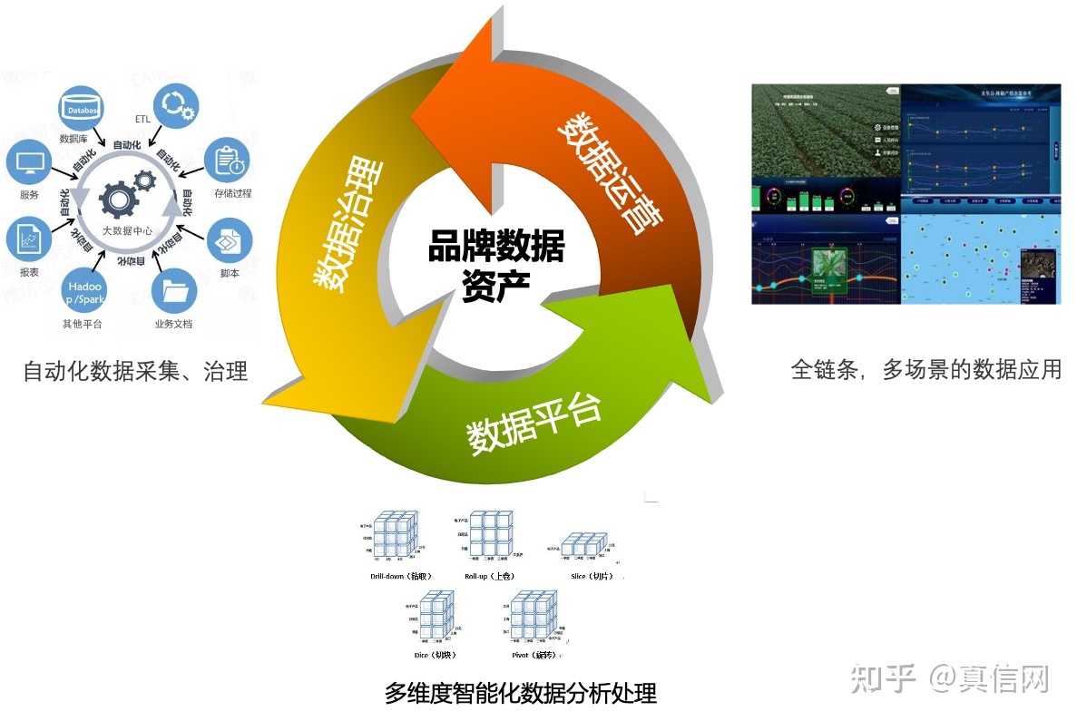 真信觀察 從戰(zhàn)術到戰(zhàn)略——品牌的數(shù)字化轉型之路